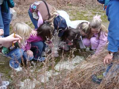 Brownies look at lichen, Fall 2006