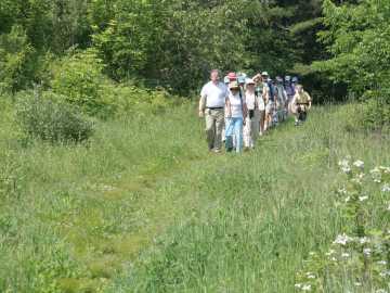 hikers