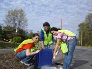 storm drain stenciling