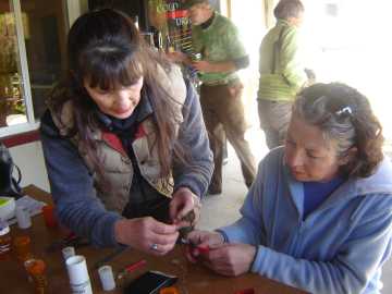 bird banding workshop