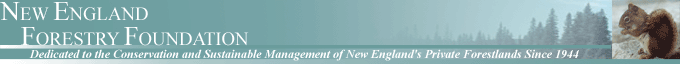 New England Forestry Foundation logo