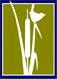 Sudbury Valley Trustees logo