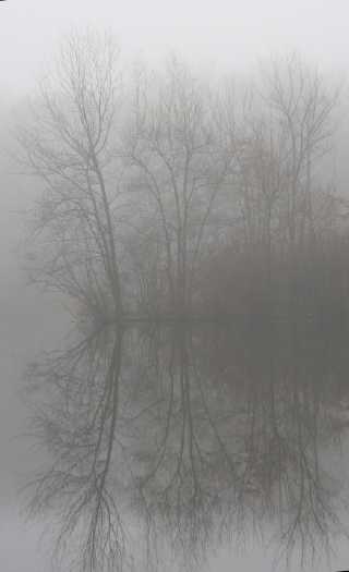 Gilmore Pond